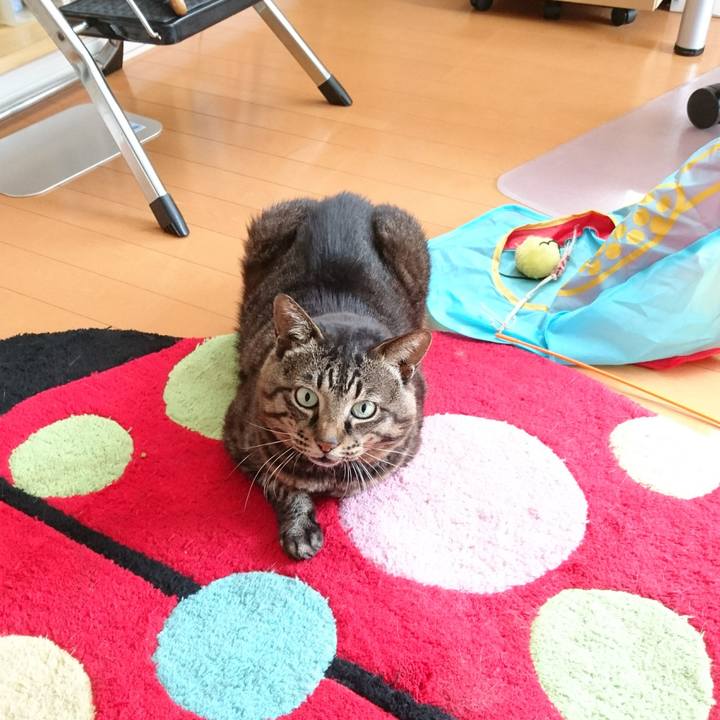 B89f1d5d 4dac 40f1 9f57 cf17546db521 1535971943874