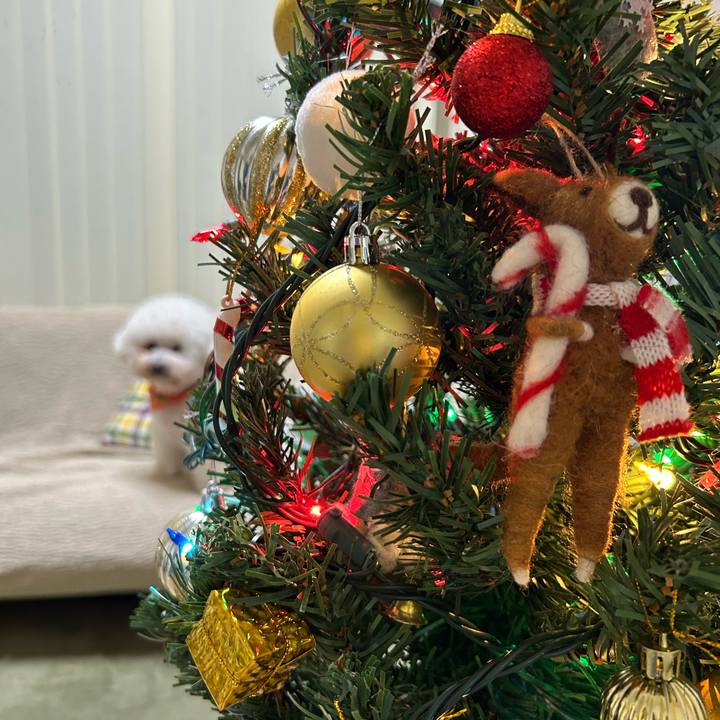 B89f580f d23d 4f40 b56a 1b3ad47c23ed 1766834244271