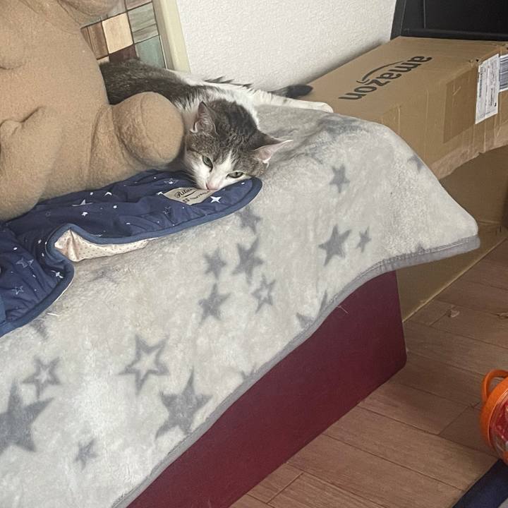 B89f5b84 12aa 43f0 a1fa 86937a06bb2d 1625129871270