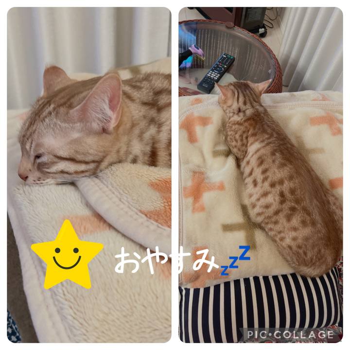 B89f751b a1b9 4ac0 97df 3b7980e95866 1677589273673