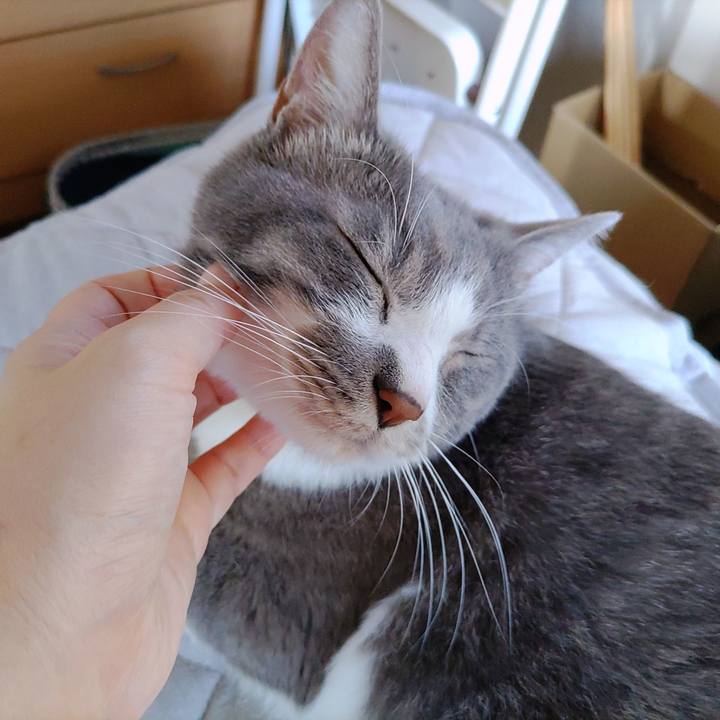 B89f7f1f 4588 4c7e 9531 bbf13f936401 1690423878014