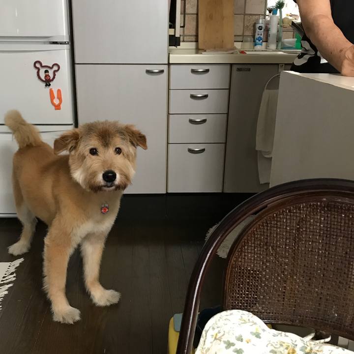 B89f8ddb 8dd2 455e a7e0 ec92bb540b88 1600582361504