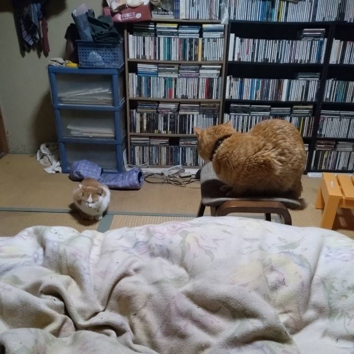 B89f981d bddf 4274 9e3a 2c5628cbd712 1734214019953