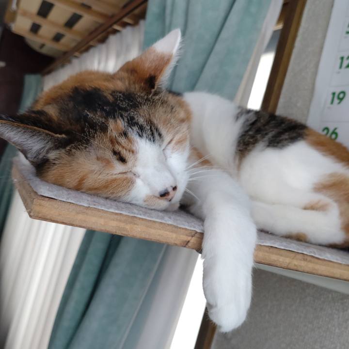 B89fb9ae 06a0 4509 bd77 e76a4f309f93 1641082467515