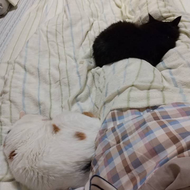 B89fc266 2a28 4c83 bf9e 26d743231422 1588775469022