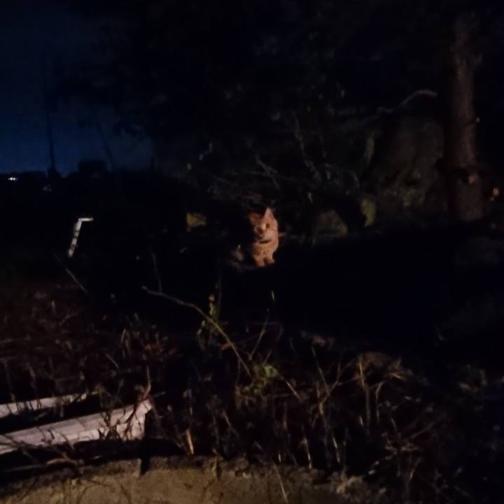 B89ff55c b41f 4ad2 a3f2 c1b1a2dcdc4f 1659787240616