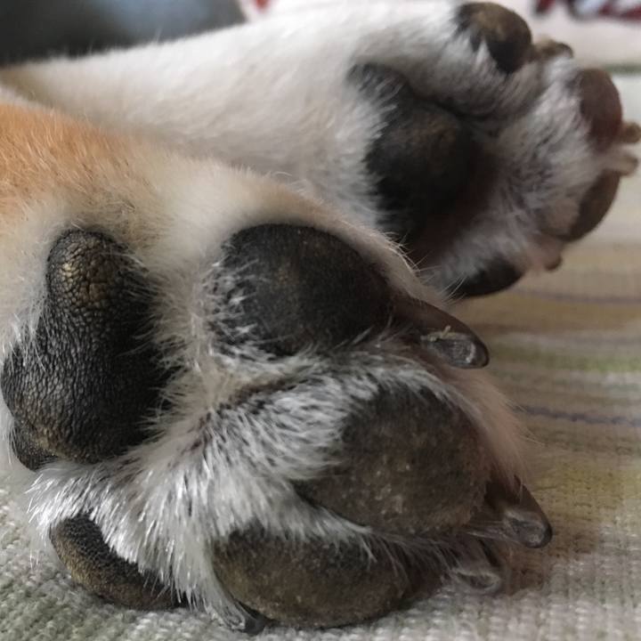 B8a01cea 6aae 43fe 8ecd d69306688175 1564290110212