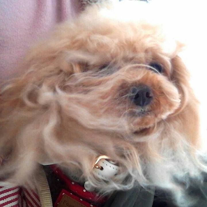 B8a02da3 7414 4389 a999 d5ccfb734ade 1551699041972