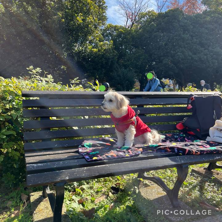 B8a055cd e965 4aa3 aa95 91ccecec8e65 1763952941497