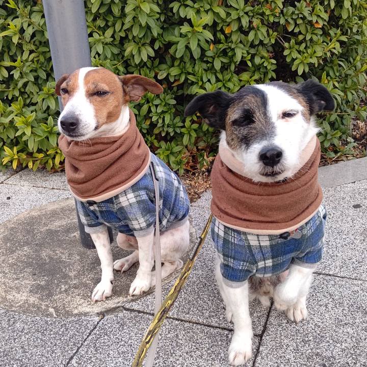 B8a07e06 8eff 4b8d b98a 0bb6895d2456 1707461269732