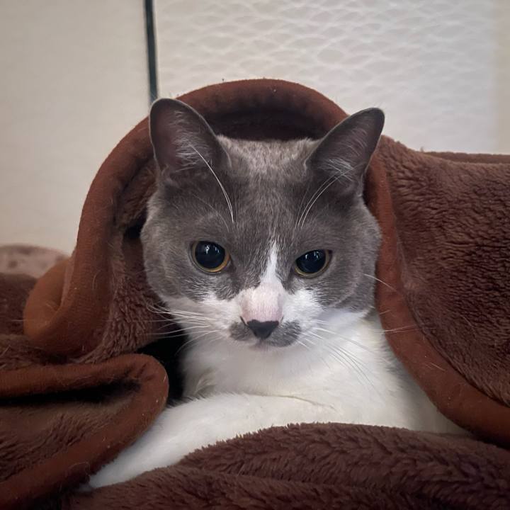 B8a0c496 ced8 441f 849a 30f130f9a2b3 1665700883517