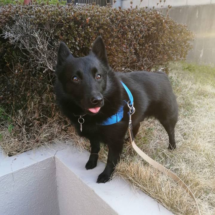 B8a13430 ef18 4b04 b081 0804d1847bd2 1614809440212