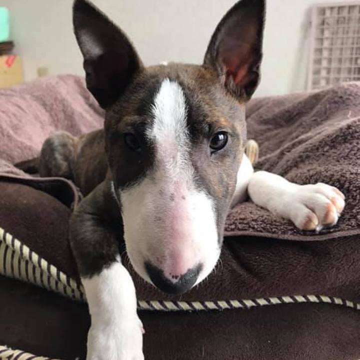 B8a13d85 a3e1 41c6 95da c822b6d24aa3 1549774060607