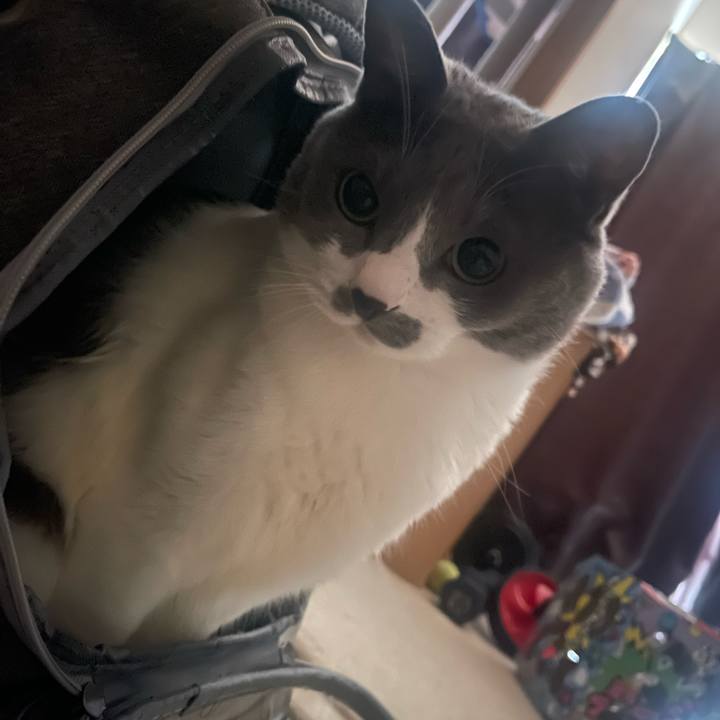 B8a1afaa 7f93 4c95 9b7e 49299d6536a4 1714338547084