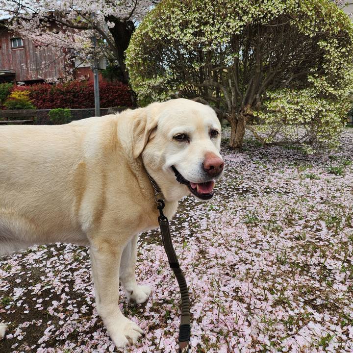 B8a1ca5e 0d49 4eda bc30 4622a6f55110 1744335282772