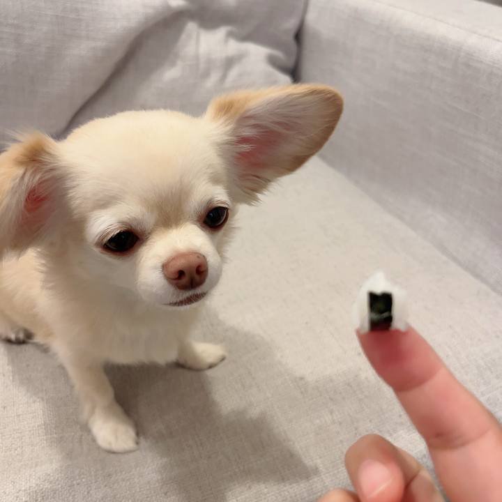 B8a23a28 1ddf 44b5 b017 c871f0497a94 1726998139665