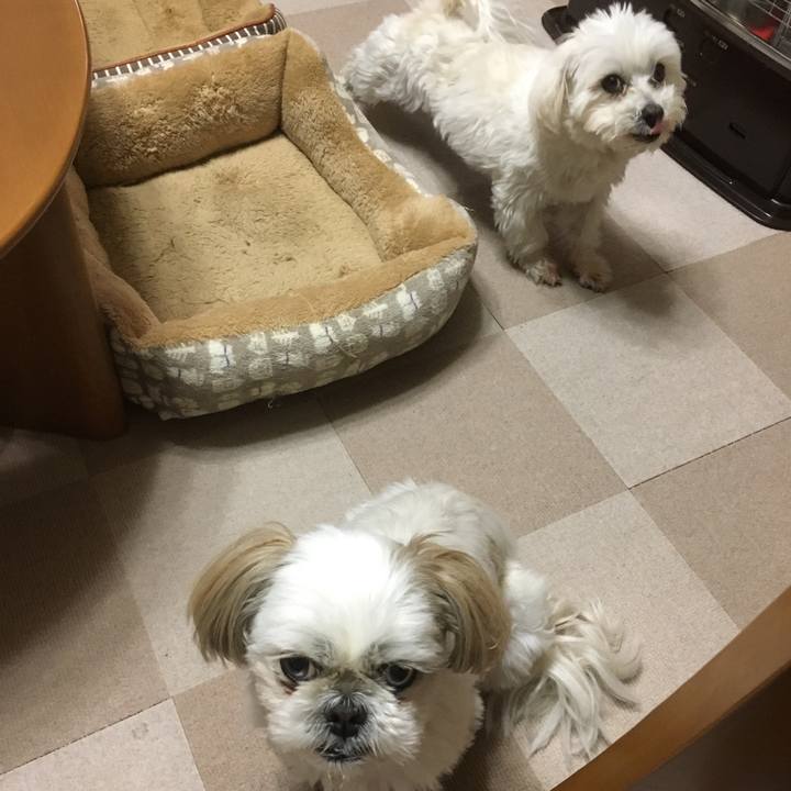 B8a27b73 eeaa 4016 a53e 80704631fcc3 1519552172027