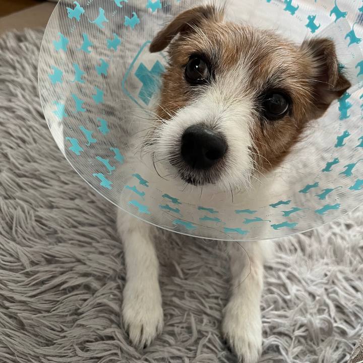 B8a2923b 2ed4 4e16 b7f5 36c1b8669213 1730605756564