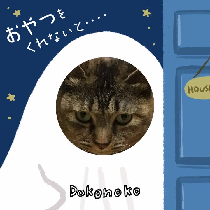 B8a2d8c3 0049 4ae5 a60f 1adb7b02ea80 1729071053813