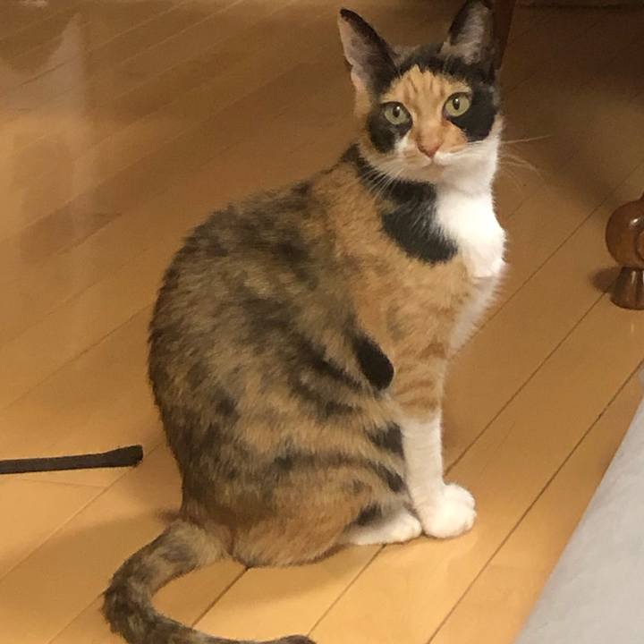 B8a2f5f5 8351 47b3 8a2d aaa3f12c71db 1560345923719