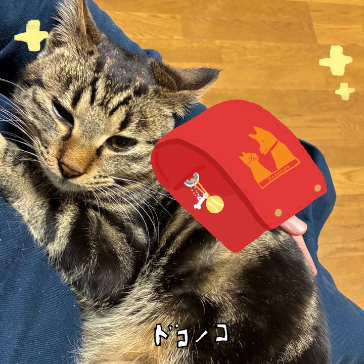 B8a36ae8 1e6d 4a8b b6c0 26cbd2369d94 1744283348427