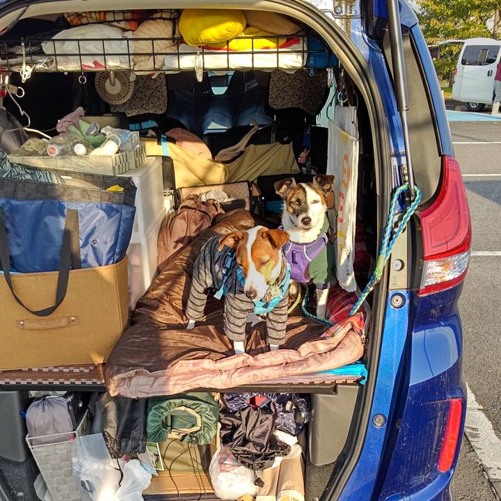 B8a3978b c521 4bb5 bd5f 41a4d04064db 1635637976691