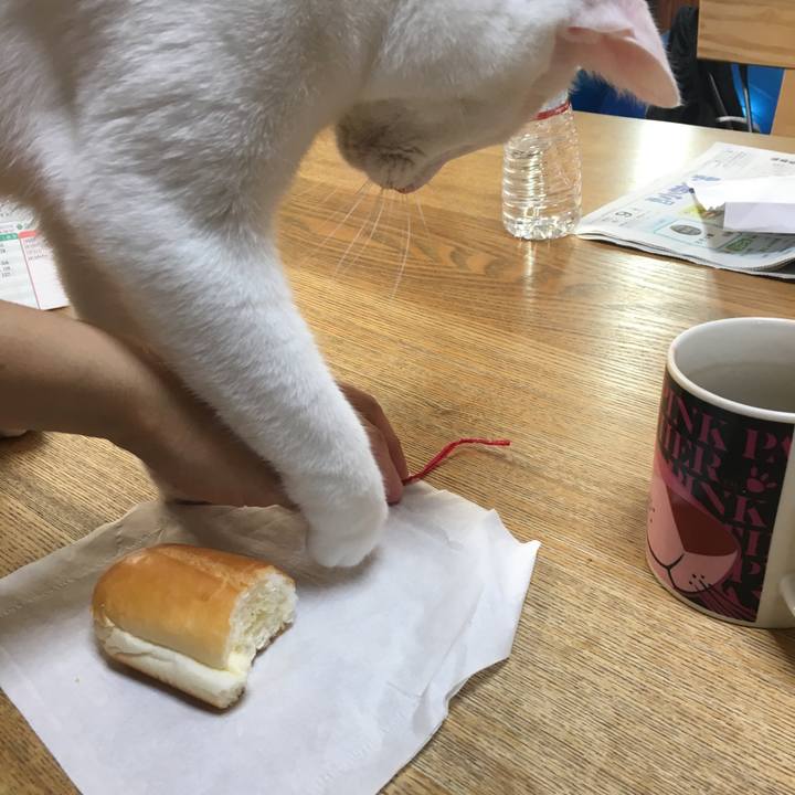 B8a3a14a 4d96 4775 a90e 4cdd8f15c10b 1528612806360