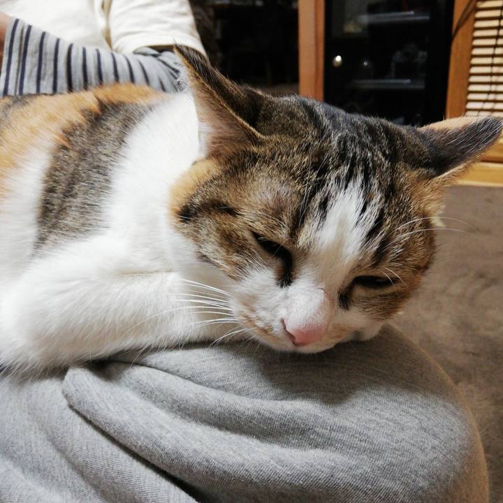 B8a3a85c 8e12 4942 bc97 e064b1af6b9c 1615370640042