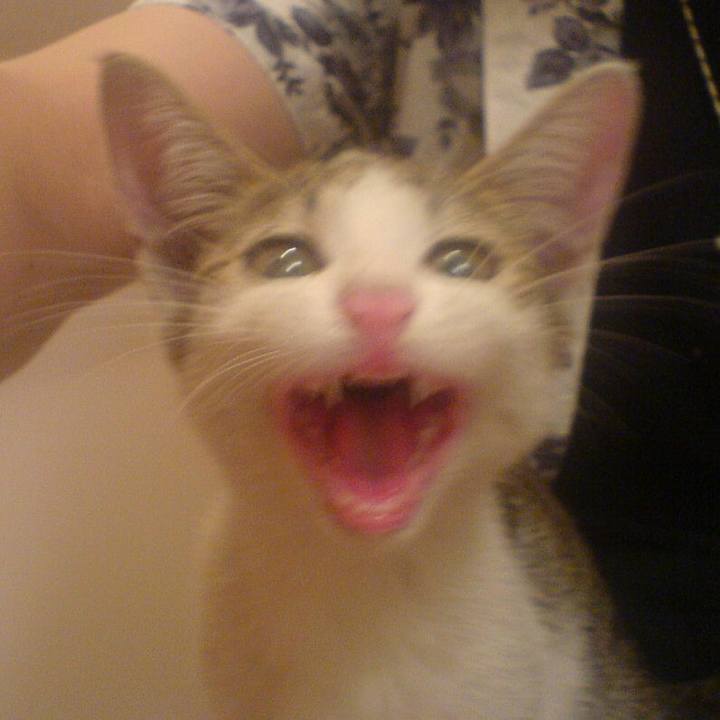 B8a416fd 0301 435d a999 b40d6d4dd709 1623495521747