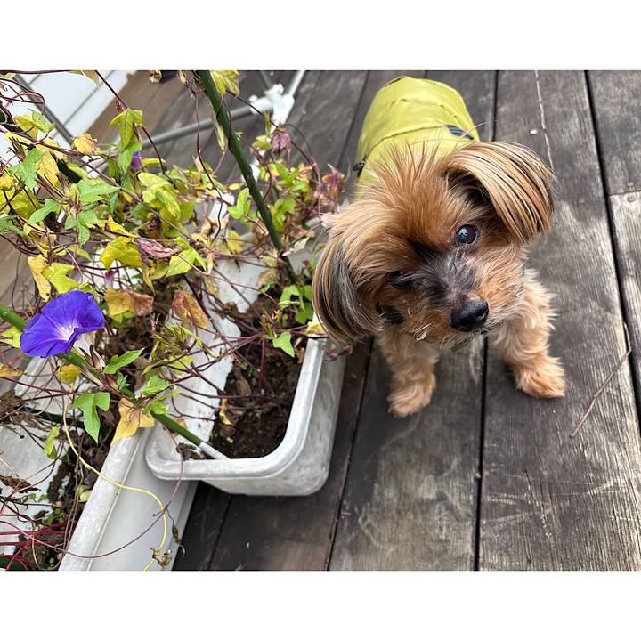 B8a42508 5302 4c06 8cf3 9a0774e50161 1761688811903