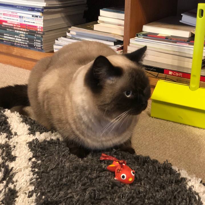 B8a482de 96ec 48e5 8732 297702f79814 1609847806079