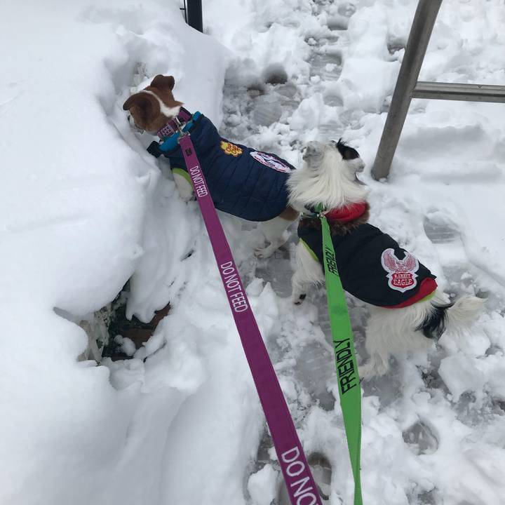 B8a49c3c ae10 462a 9850 a76f0752a008 1516669207711