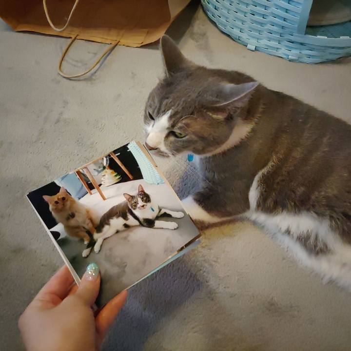 B8a49fae 94aa 413a 90fc 0884a431d769 1654939195695