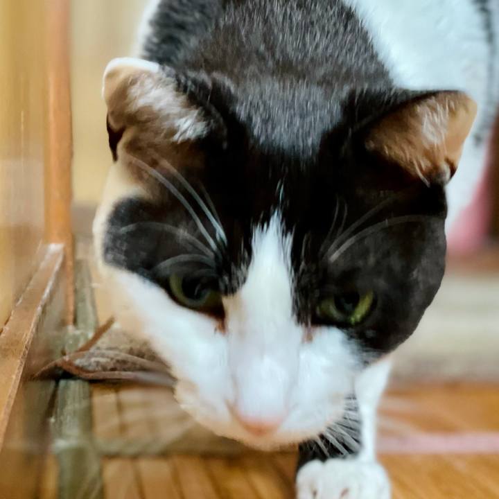 B8a4a8b4 76d7 4306 97f0 778fadf6a672 1622254418396