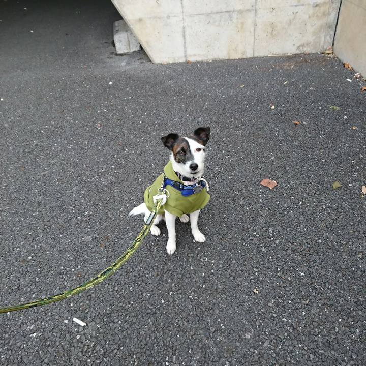 B8a5083d 5bc3 4af3 a2e3 c037fce132ae 1511129230815