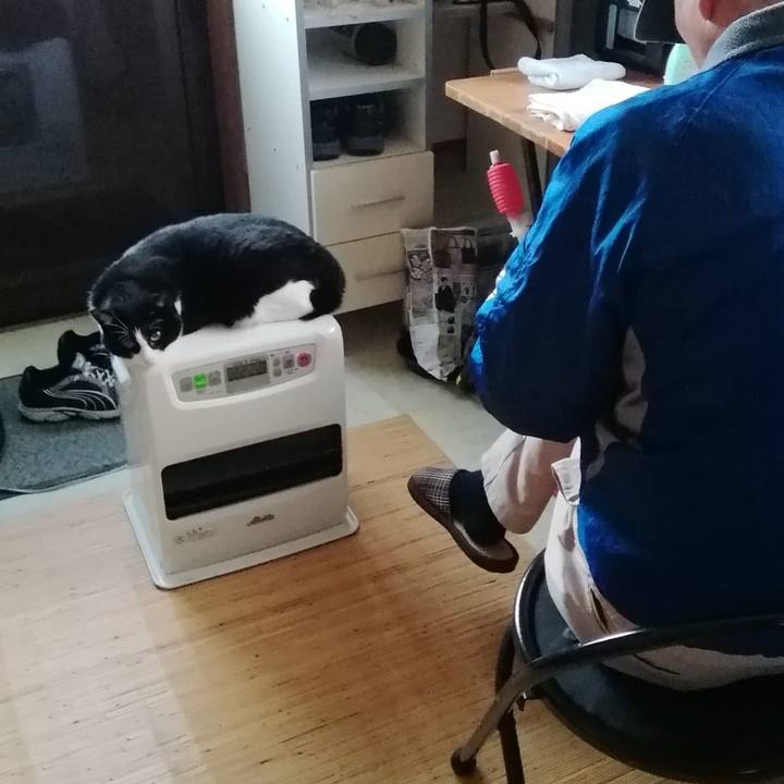 B8a52b2b f188 4367 b87b b8c1d4cfd5e0 1605498938596