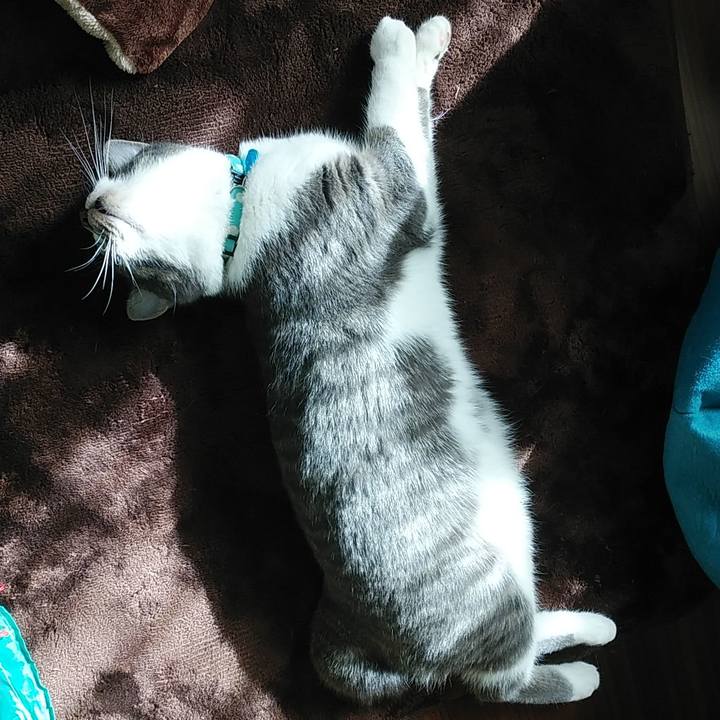 B8a59f49 7003 4816 b1a9 9b52a85ceef8 1579572019161