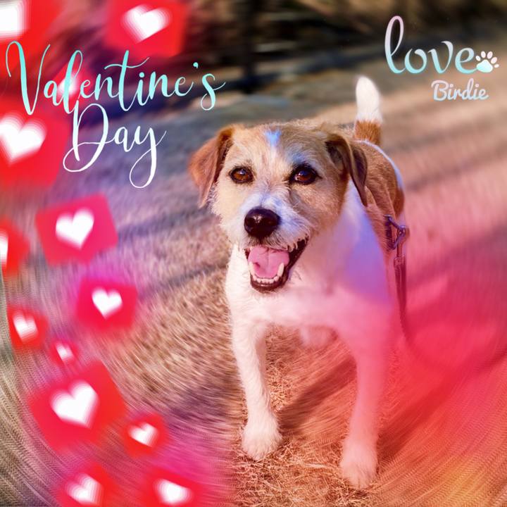 B8a60f1b 2413 4a44 a52d e762d40e0d18 1676377050825