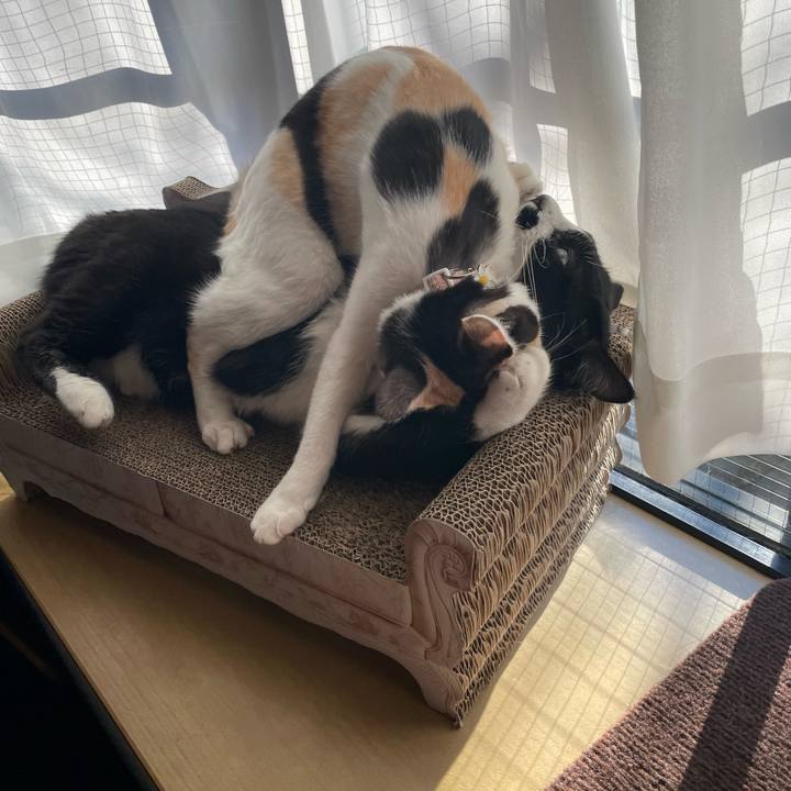 B8a63471 0af3 43bc 8c69 16ddaca49426 1676501770019