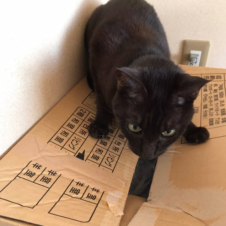 B8a69d11 0be6 4cbd a1b5 1da3bd7e306e 1612217553342