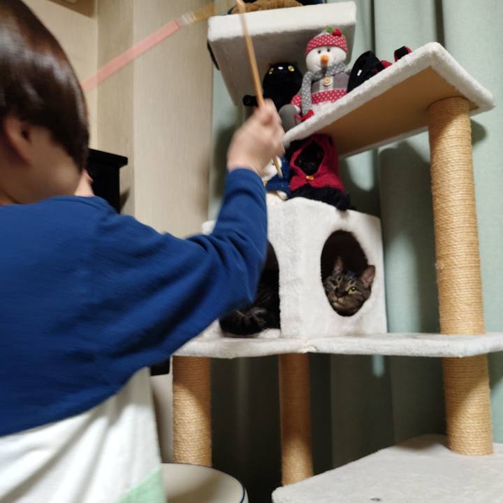 B8a6a243 52f3 43f8 8984 d515f49f66e3 1772283445248