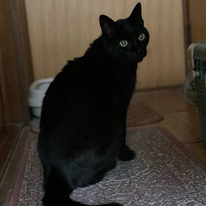 B8a6b143 da32 47af a229 8a2ef8a622b3 1652062785874