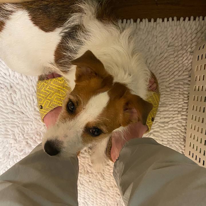 B8a6b8b4 bdd8 4244 9595 d68aaba281e6 1719663742323