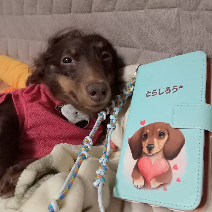 B8a6cc93 892e 4e9f a892 ae36b8f0102c 1769376556895