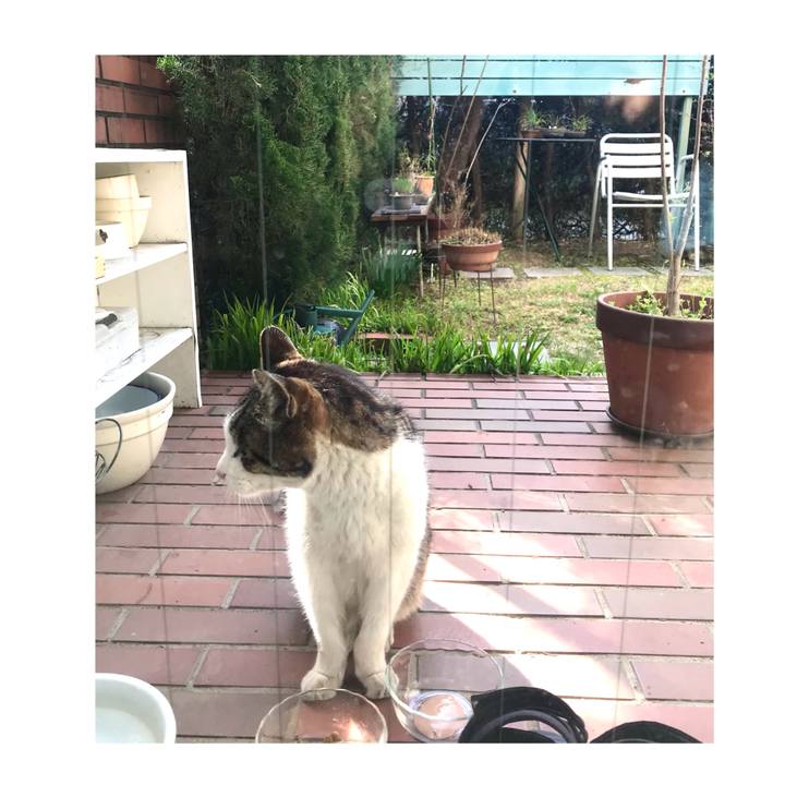 B8a6ebf3 9da8 46ff 85d8 cb93e43fc330 1648348167658