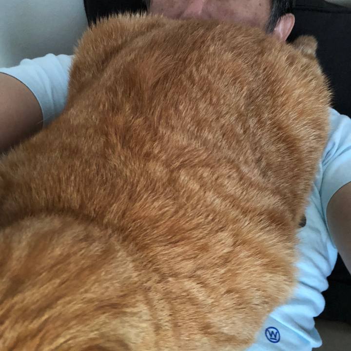 B8a6ffdb b72a 4fd6 85f9 7fb730c6d9cf 1529977316240