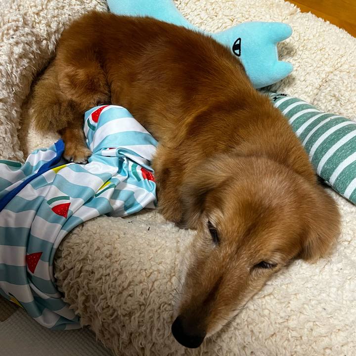 B8a724ad 2d44 439f 92e8 3809cfc2d25a 1660281877589