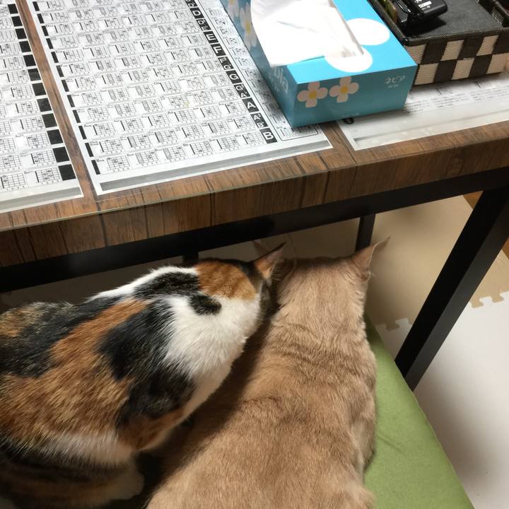 B8a75ccc e279 4db3 beb9 7243bf5fe264 1645010610566