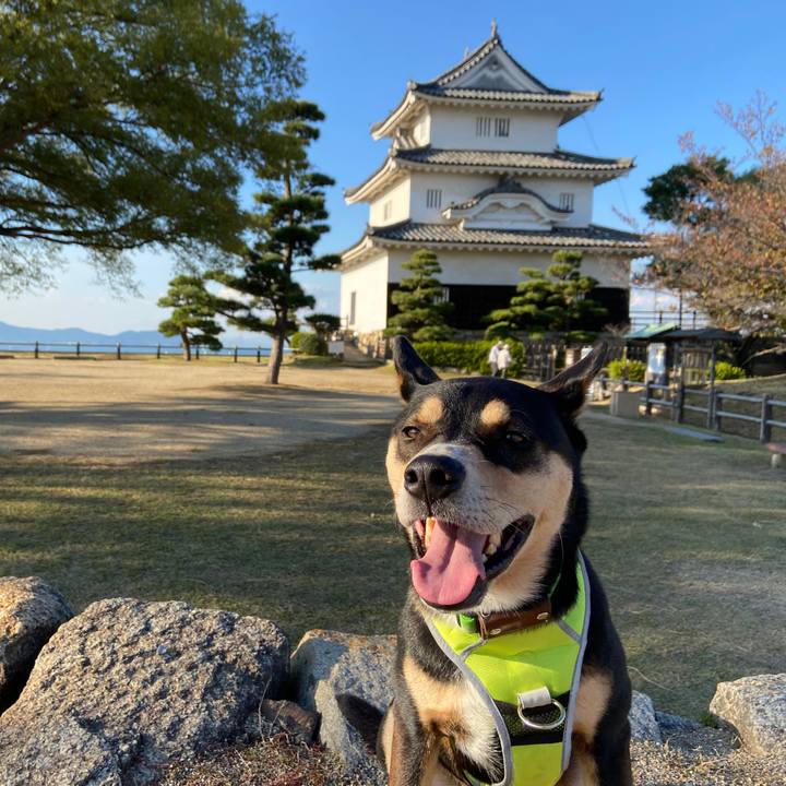 B8a780d8 b889 4866 990e 6353a2a52a53 1635328407766