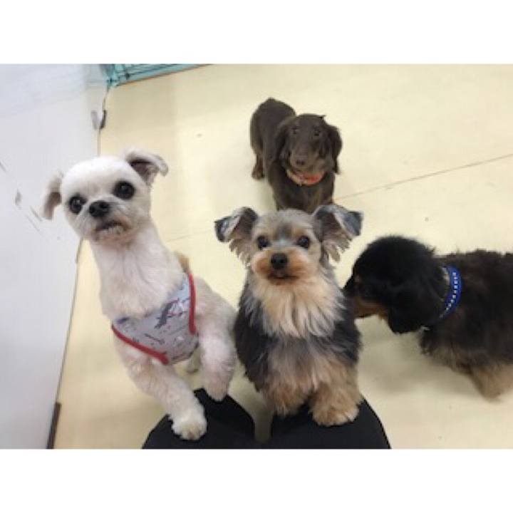 B8a787bf b043 41b3 b65d 3b2061e4b6f1 1552392592069